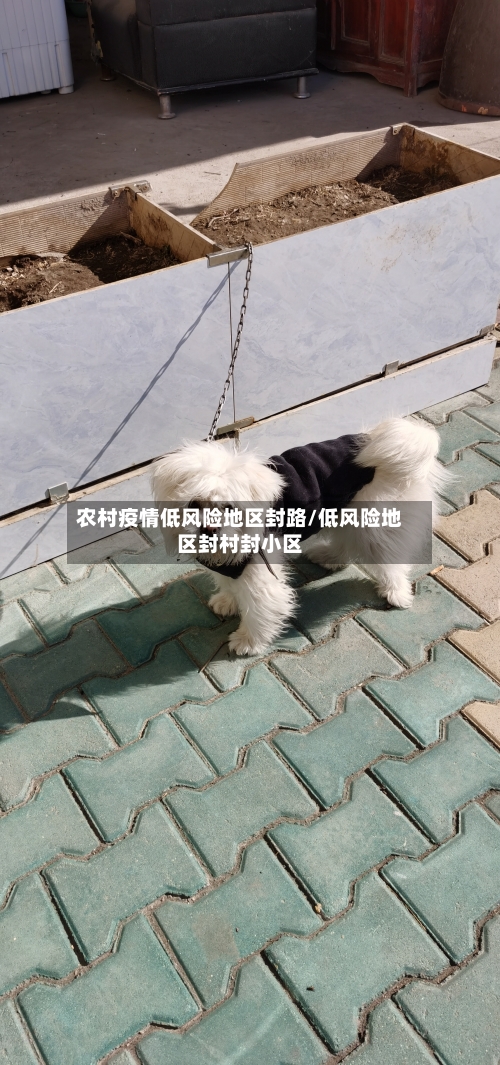 农村疫情低风险地区封路/低风险地区封村封小区-第2张图片