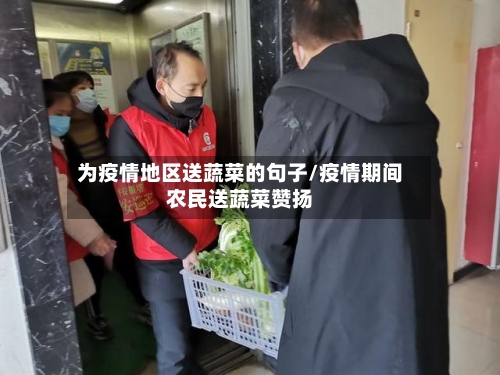 为疫情地区送蔬菜的句子/疫情期间农民送蔬菜赞扬