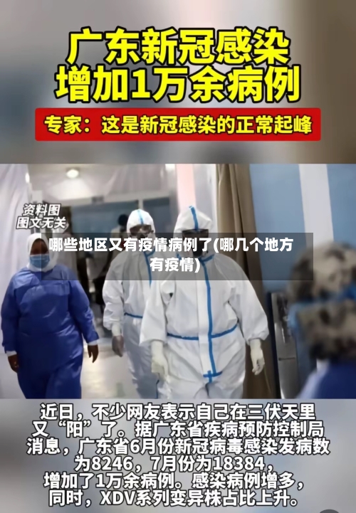 哪些地区又有疫情病例了(哪几个地方有疫情)