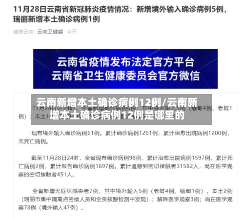 云南新增本土确诊病例12例/云南新增本土确诊病例12例是哪里的