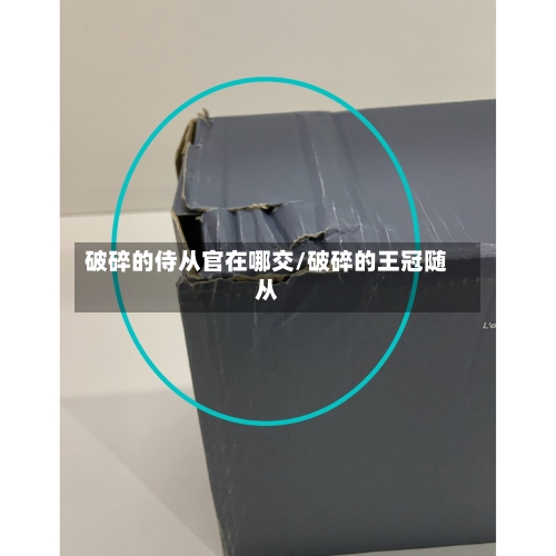 破碎的侍从官在哪交/破碎的王冠随从