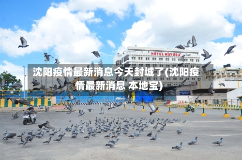 沈阳疫情最新消息今天封城了(沈阳疫情最新消息 本地宝)-第3张图片
