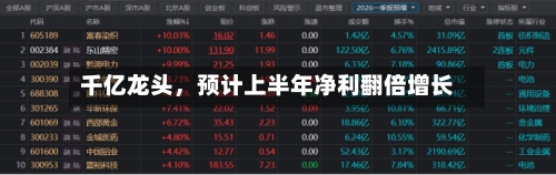千亿龙头，预计上半年净利翻倍增长-第2张图片