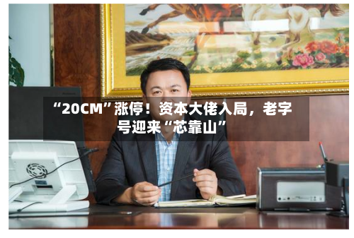 “20CM	”涨停！资本大佬入局	，老字号迎来“芯靠山”-第2张图片