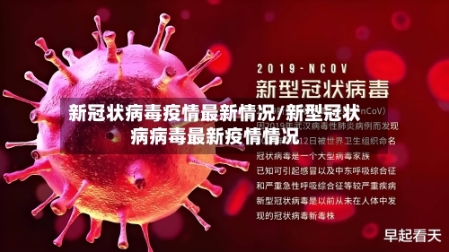 新冠状病毒疫情最新情况/新型冠状病病毒最新疫情情况-第3张图片