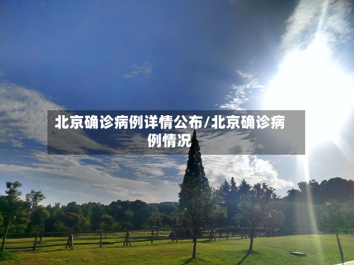 北京确诊病例详情公布/北京确诊病例情况-第3张图片