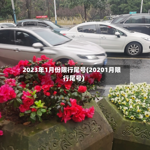 2023年1月份限行尾号(20201月限行尾号)-第3张图片