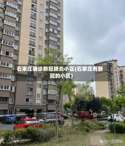 石家庄确诊新冠肺炎小区(石家庄有新冠的小区)