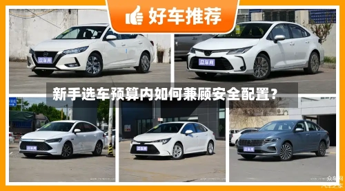 新手选车预算内如何兼顾安全配置？