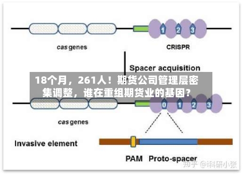 18个月，261人！期货公司管理层密集调整，谁在重组期货业的基因？-第2张图片