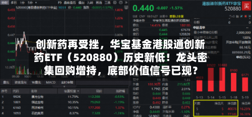 创新药再受挫，华宝基金港股通创新药ETF（520880）历史新低！龙头密集回购增持，底部价值信号已现？