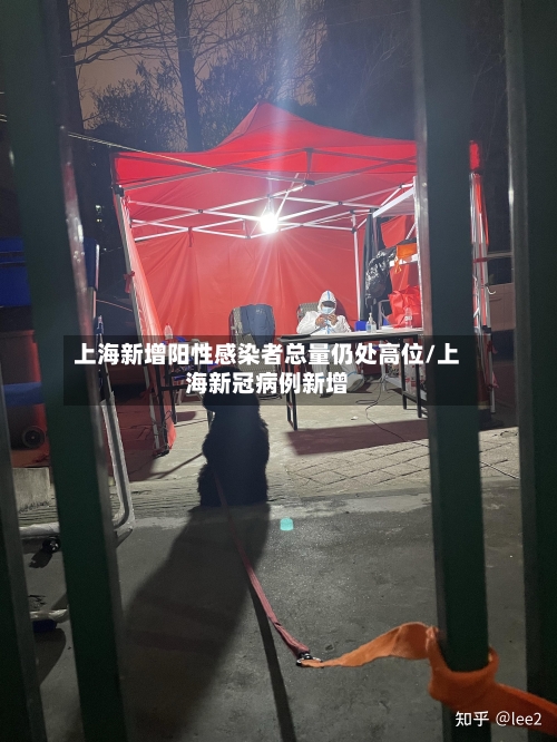 上海新增阳性感染者总量仍处高位/上海新冠病例新增-第3张图片