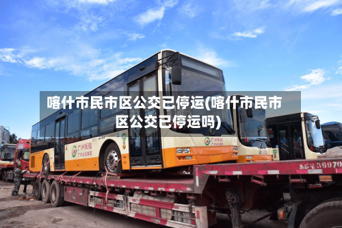 喀什市民市区公交已停运(喀什市民市区公交已停运吗)-第2张图片