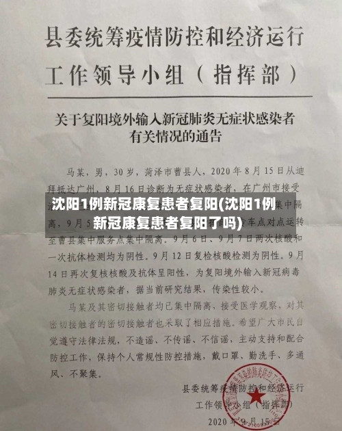 沈阳1例新冠康复患者复阳(沈阳1例新冠康复患者复阳了吗)-第2张图片