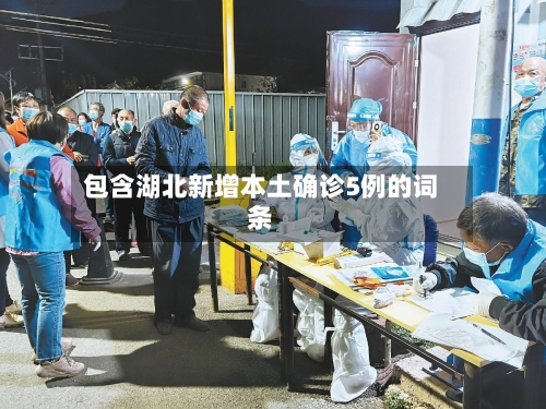 包含湖北新增本土确诊5例的词条