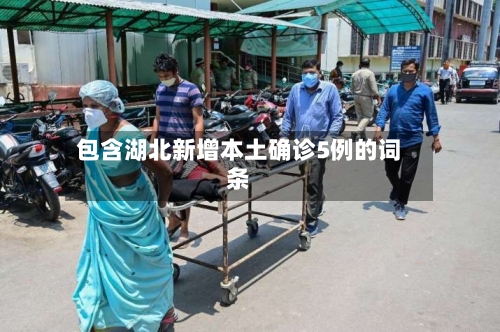 包含湖北新增本土确诊5例的词条-第2张图片