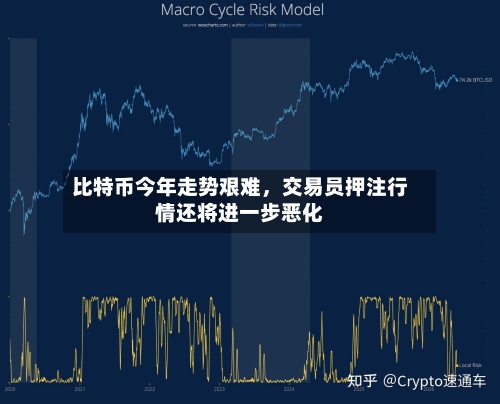 比特币今年走势艰难	，交易员押注行情还将进一步恶化-第1张图片