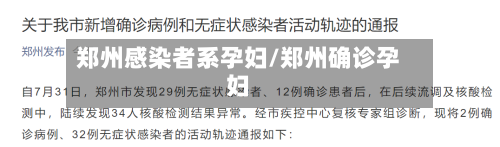 郑州感染者系孕妇/郑州确诊孕妇-第2张图片