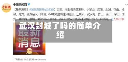 武汉封城了吗的简单介绍-第2张图片