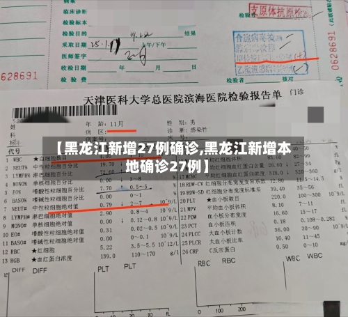 【黑龙江新增27例确诊,黑龙江新增本地确诊27例】-第3张图片