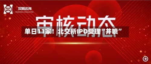 单日11家！北交所IPO受理“井喷”-第2张图片