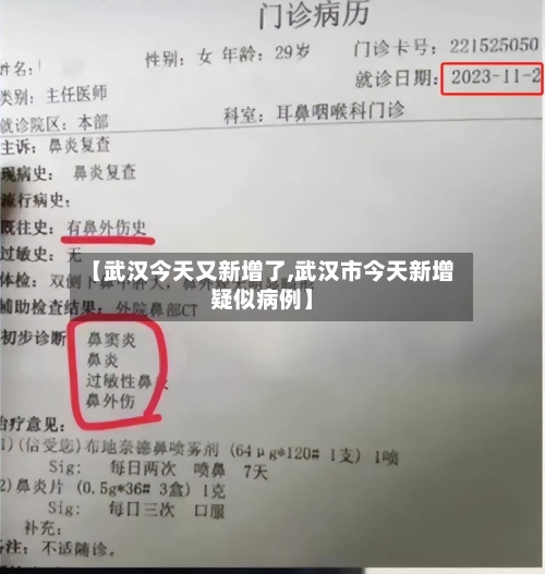 【武汉今天又新增了,武汉市今天新增疑似病例】-第2张图片