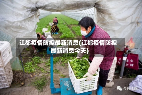 江都疫情防控最新消息(江都疫情防控最新消息今天)-第2张图片
