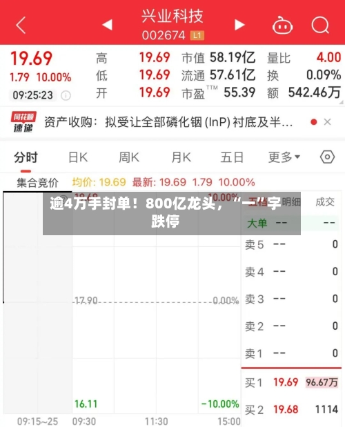 逾4万手封单！800亿龙头，“一”字跌停-第2张图片