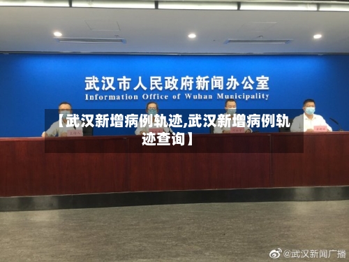 【武汉新增病例轨迹,武汉新增病例轨迹查询】-第3张图片