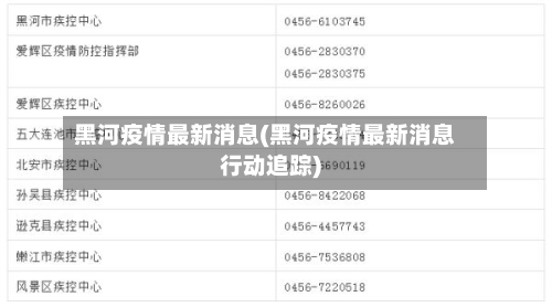 黑河疫情最新消息(黑河疫情最新消息行动追踪)-第2张图片