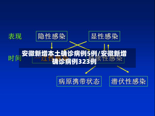 安徽新增本土确诊病例5例/安徽新增确诊病例323例-第3张图片