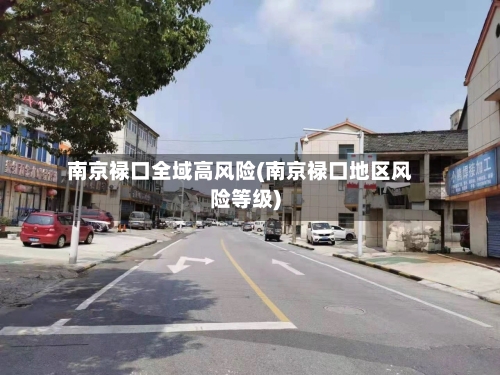 南京禄口全域高风险(南京禄口地区风险等级)-第2张图片