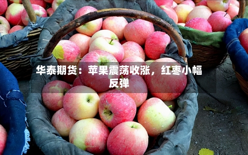 华泰期货：苹果震荡收涨	，红枣小幅反弹-第1张图片