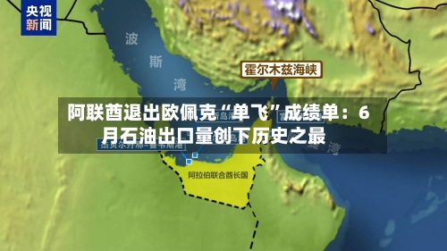 阿联酋退出欧佩克“单飞”成绩单：6月石油出口量创下历史之最-第1张图片