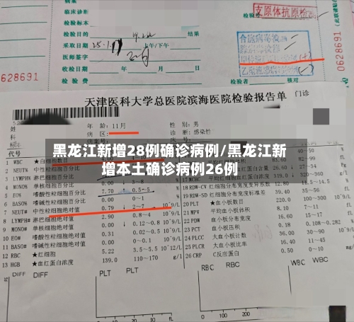 黑龙江新增28例确诊病例/黑龙江新增本土确诊病例26例