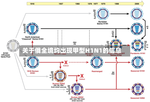 关于俄全境均出现甲型H1N1的信息-第3张图片