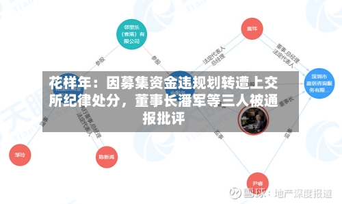花样年：因募集资金违规划转遭上交所纪律处分，董事长潘军等三人被通报批评-第3张图片