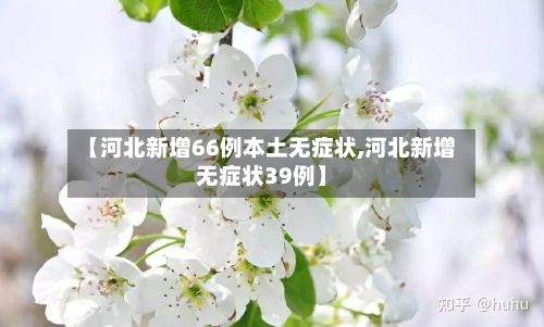 【河北新增66例本土无症状,河北新增无症状39例】-第2张图片