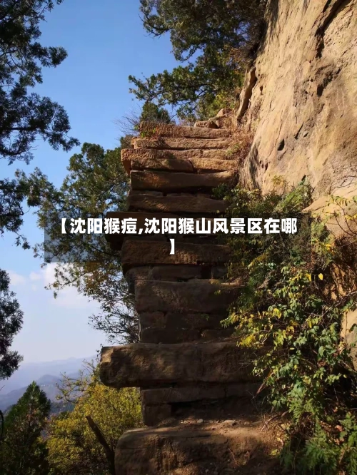 【沈阳猴痘,沈阳猴山风景区在哪】-第3张图片
