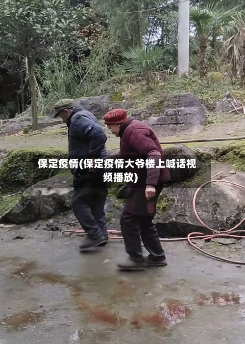 保定疫情(保定疫情大爷楼上喊话视频播放)