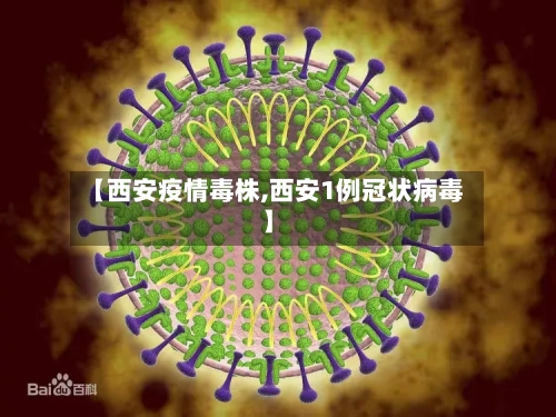 【西安疫情毒株,西安1例冠状病毒】-第3张图片