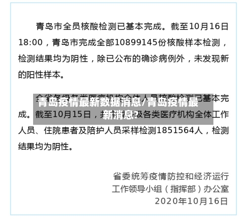 青岛疫情最新数据消息/青岛疫情最新消息?-第3张图片