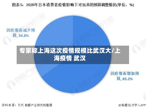 专家称上海这次疫情规模比武汉大/上海疫情 武汉