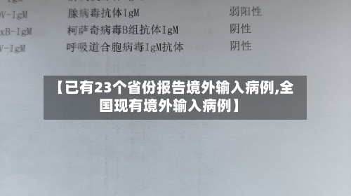 【已有23个省份报告境外输入病例,全国现有境外输入病例】-第3张图片