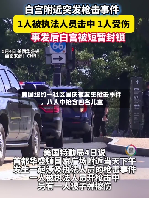 美国纽约一社区国庆夜发生枪击事件，八人中枪含四名儿童-第3张图片