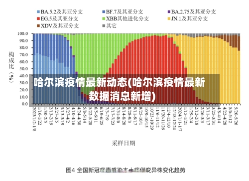 哈尔滨疫情最新动态(哈尔滨疫情最新数据消息新增)-第3张图片