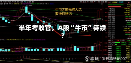半年考收官，A股“牛市	”待续？-第1张图片