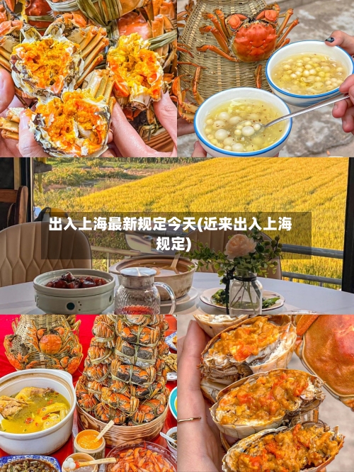 出入上海最新规定今天(近来出入上海规定)-第2张图片