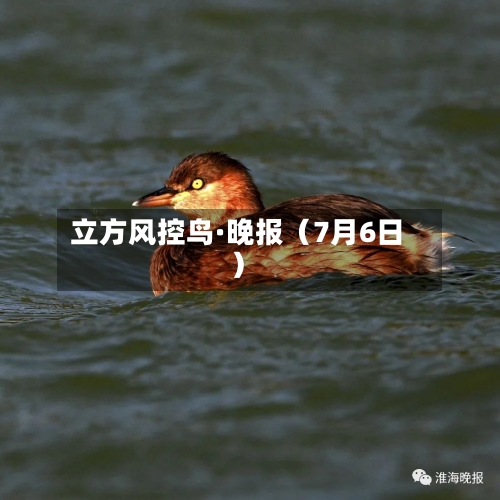 立方风控鸟·晚报（7月6日）