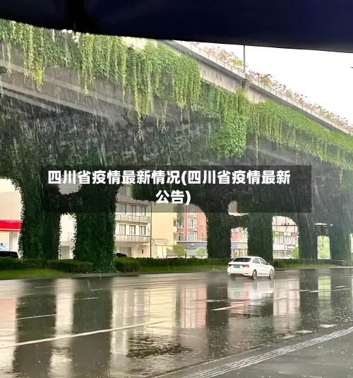 四川省疫情最新情况(四川省疫情最新公告)-第3张图片